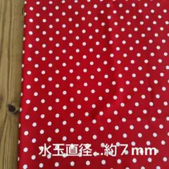 ②赤に白の水玉模様が ミニーちゃんのスカートの様な柄の生地
