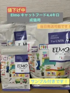 エルモ　キャットフード　合計8キロ elmo キャットフードのおすすめ人気商品一覧 通販 - Yahoo