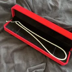 Item thumbnail for item 10ff8cca-1e09-40d0-9db0-1ee63bbc344d