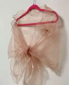 Item thumbnail for item 18602ad0-13f7-48ce-a4dc-50358c93ae82