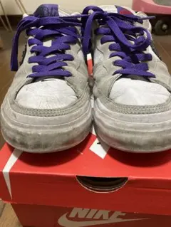 NIKE SB ZOOM POGO PLUS