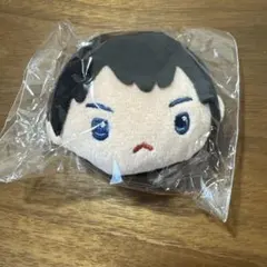 ハイキュー　ぬいぐるみクリップ　影山飛雄