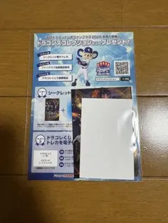 【新品】中日ドラゴンズ 2026年 ファンクラブ 入会特典 リアルカード1セット