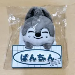Toyworld straykids スキズ ネーム バッグチャーム バンチャン