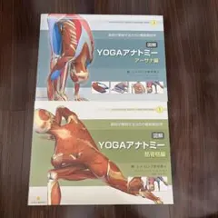 アナトミーフォーヨガ ヨーガ YOGA DVD 体感して学ぶヨガの解剖学