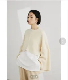 STYLEMIXER長袖ニット　アイボリー / FREE