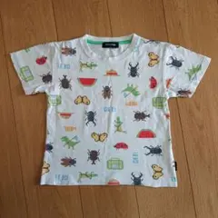 クレードスコープ Tシャツ 半袖 110cm 虫 昆虫のサムネイル