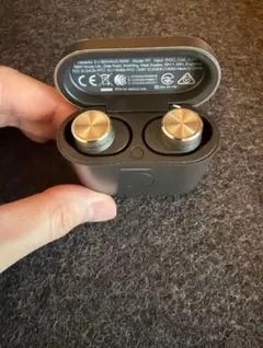 バウワースアンドウィルキンス Bowers & Wilkins Pi5S2/CG - メルカリ