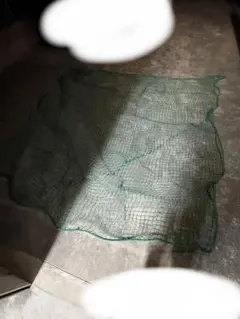 Item thumbnail for item b6106f43-4eae-43c9-981f-5decd2c9bb40