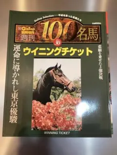 ギャロップGallop臨時増刊　 週刊100名馬 　 27 ホワイトストーン 週刊Gallop臨時増刊 100名馬 Vol.27 ホワイトストーン - メルカリ