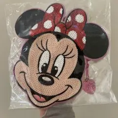 【公式商品】TDL ミニー　希少スパンコールパスケース ディズニーランド