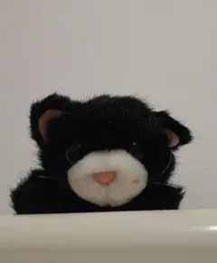 黒猫のぬいぐるみ　 赤いリボン付き