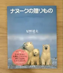 2025年最新】星野道夫写真集の人気アイテム - メルカリ