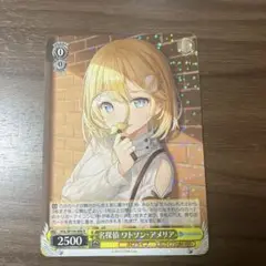 ヴァイスシュヴァルツ　ワトソン・アメリア