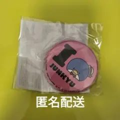 TREASURE ジュンギュ サンリオ 缶バッチ はぴだんぶい