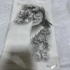 Item thumbnail for item 212599c5-907e-4c68-ac2d-c8963f3e003f