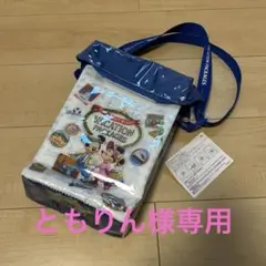 【ともりん様専用】東京ディズニーリゾート　ポップコーンバケット