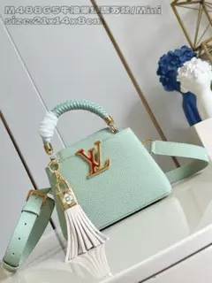 Louis Vuitton ミニショルダーバッグ