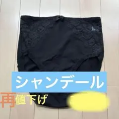 2026年最新】シャンデール ボディスーツの人気アイテム - メルカリ