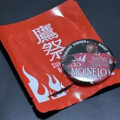 福岡ソフトバンクホークス モイネロ 缶バッジ 鷹ポイント交換