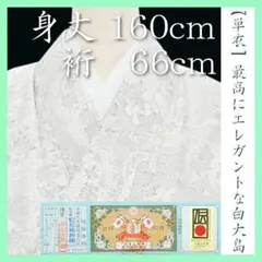 2026年最新】白大島紬単衣の人気アイテム - メルカリ