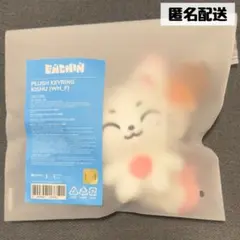 ENHYPEN ENCHIN ぬいぐるみ キーリング ソヌ