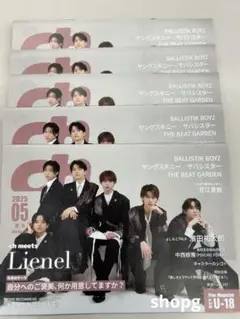 【東海限定】ch FILES 2025年5月号 Lienel特集　5冊