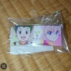 HUNTER×HUNTER55 ゴン キルア