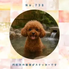 えーるんちゃん様 リクエスト 2点 まとめ商品