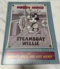 Item thumbnail for item 9e537003-1d1b-4164-a590-f807a3714d42