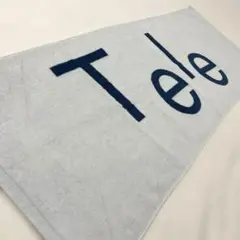 美品】Tele Live tour 2024 箱庭の灯 谷口喜多郎 - メルカリ