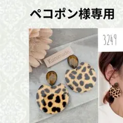 ペコポン様専用 ネジバネイヤリング