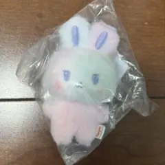 ソンファ　ぬいぐるみ　ANITEEZPOPUP ANITEEZ IN COLOR ソンファ ぬいぐるみ ANITEEZPOPUP ANITEEZ IN COLOR - メルカリ