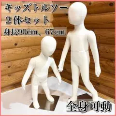 2026年最新】#ソフトトルソーの人気アイテム - メルカリ