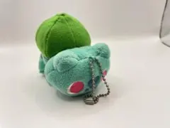 Pokémon time　ポケモンタイム　フシギダネ　ぬいぐるみ