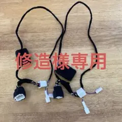 Item thumbnail for item 88ce5e22-ed90-4e4e-a7ea-04d4be1dd88c