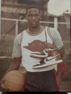 Air Jordan 1 Retro High OG つま黒