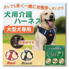 ✨在庫一掃セール実施中✨犬介護ハーネス✨前脚歩行補助 反射板付 ブラックＸＬのサムネイル