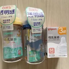 Item thumbnail for item 520072e4-193e-4010-a5f9-daed08a60c71