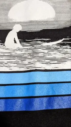 希少 USA製 ヴィンテージ COLUR ROLLAND BERRY Tシャツ