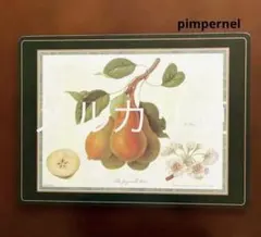 新品★Jasonコルクプレイスマット★ジェイソン★ランチョンマット VINTAGE ≫ニュージーランド製ヴィンテージ未使用*JASON