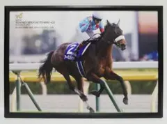 競馬 アーモンドアイ パネル MEMORIAL PHOTO ヴィクトリアマイル