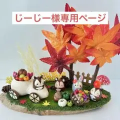 huiliujing62様専用ページ】どんぐりアート - メルカリ