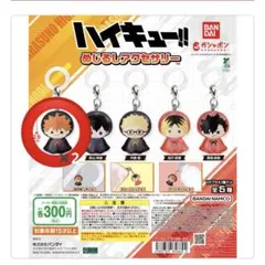 ハイキューめじるしアクセサリー2個セット 日向翔陽