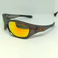 激レア 廃盤品 Oakley モンスタードッグ ブラウンゴールド 初期ロゴ