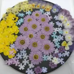 Haru工房❁⃘*.゜様 リクエスト 3点 まとめ商品