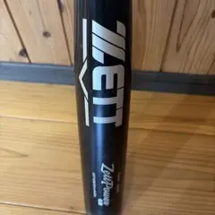価格応談】元西武ライオンズ 鈴木健サイン入りバット NPBマーク - メルカリ