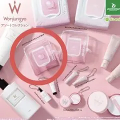 Wonjungyo アソートコレクション モイストアップレディスキンパック