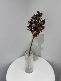 あむ様 リクエスト 2点 まとめ商品