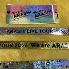 嵐 We are ARASHI 銀テ フル 2本セット 紙吹雪付 - メルカリ